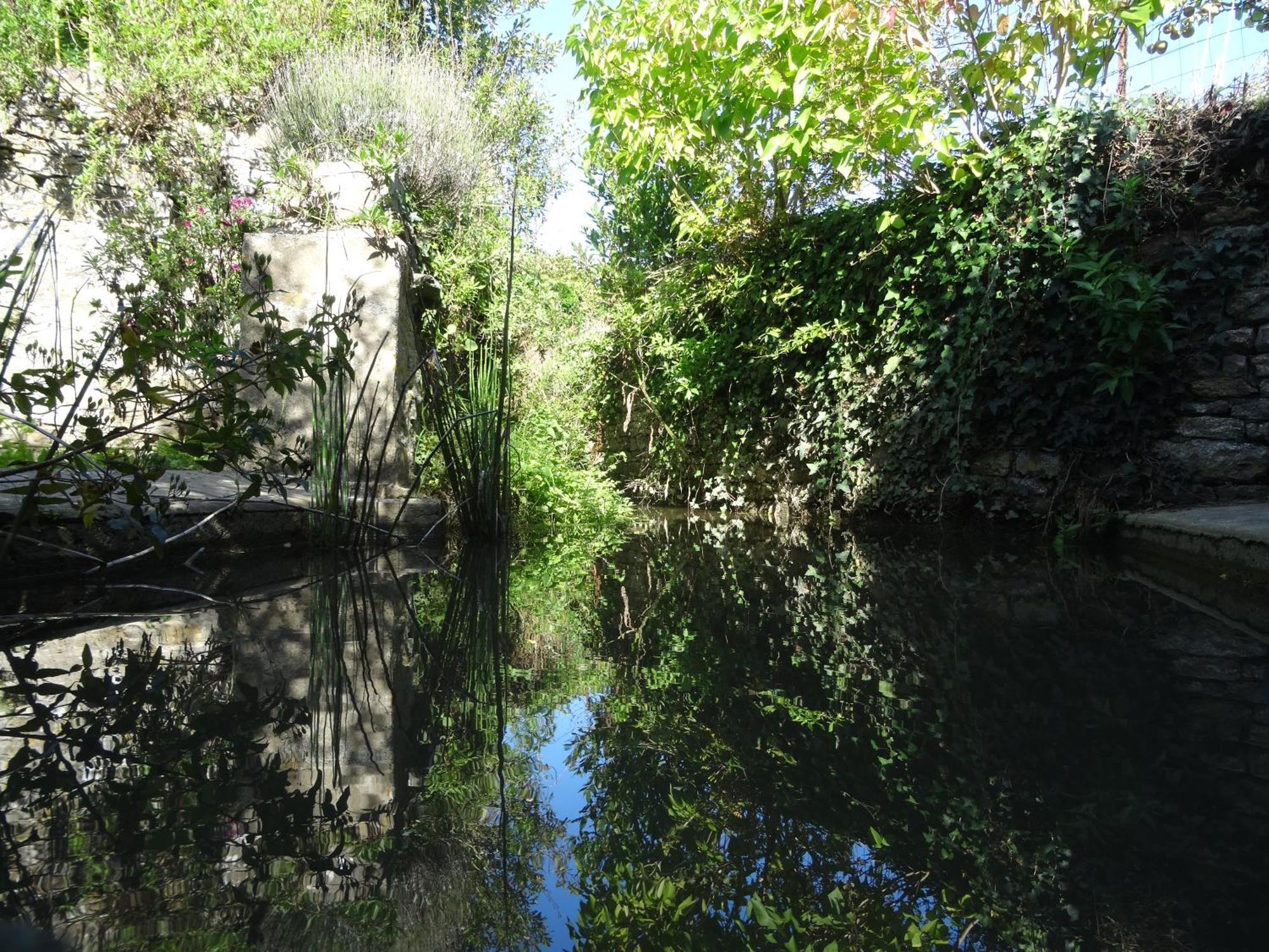 Gite "Rose Des Sables" - 800M De La Plage De Surtainville, Proche Commerces - Piscine En Juillet Et Aout Bagian luar foto