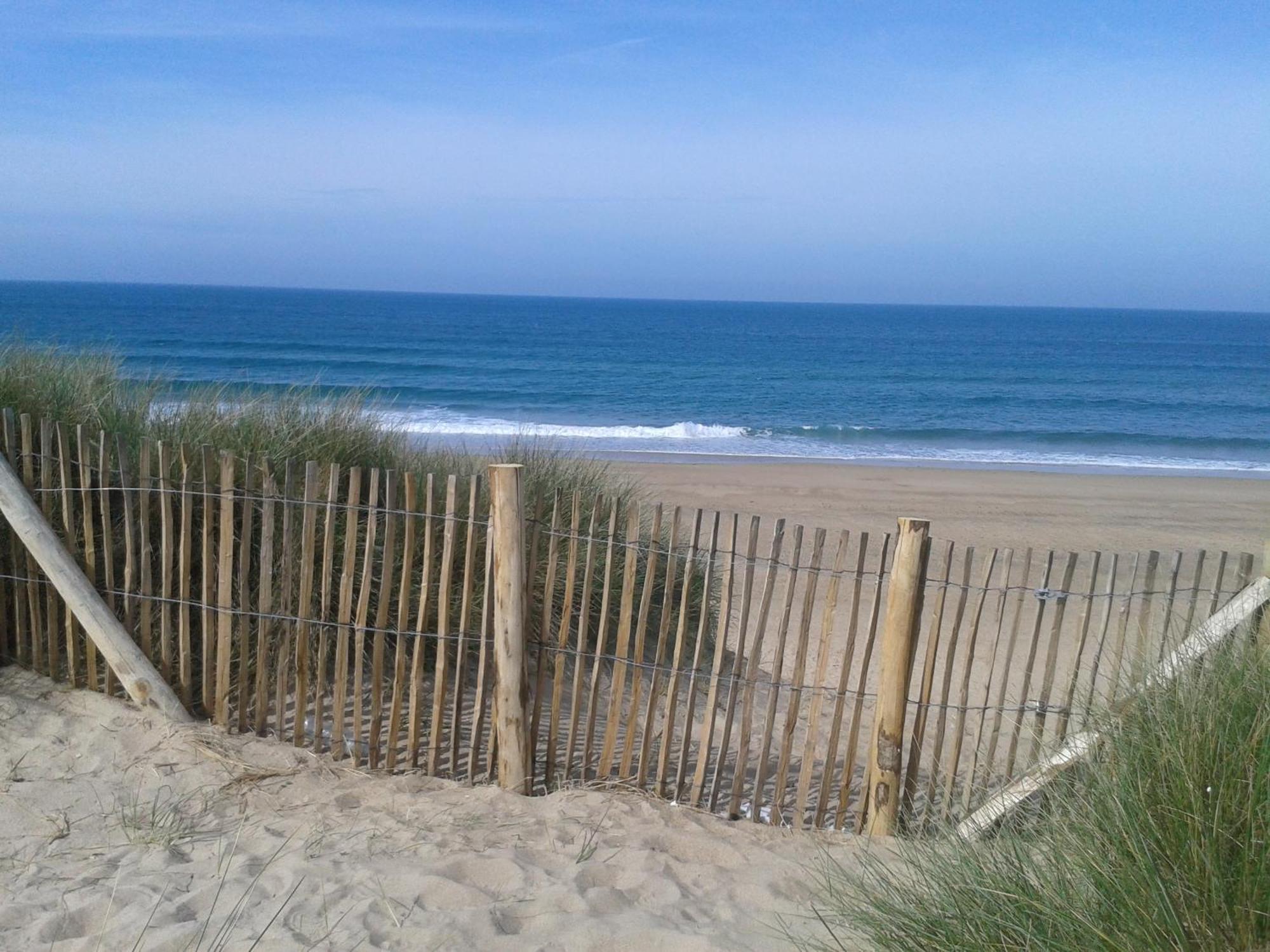 Gite "Rose Des Sables" - 800M De La Plage De Surtainville, Proche Commerces - Piscine En Juillet Et Aout Bagian luar foto